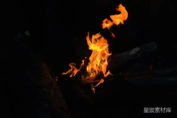 高清摄影 篝火的夜晚