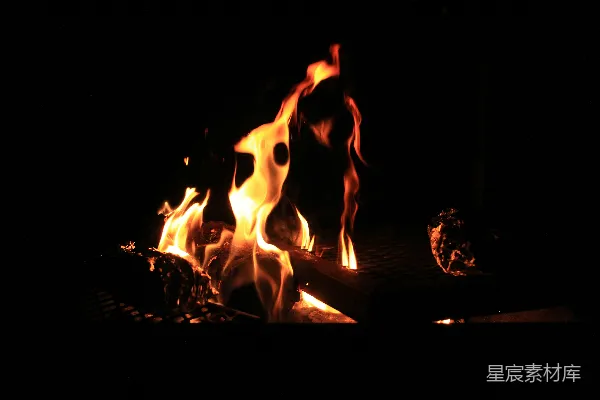 高清摄影 篝火夜景