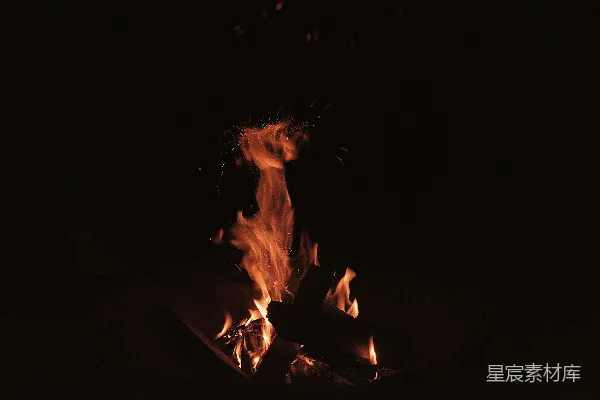 高清摄影 夜幕下的篝火