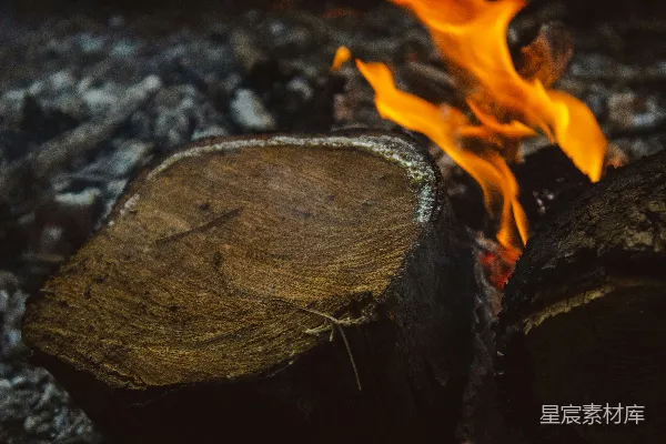 高清摄影 燃烧的木桩