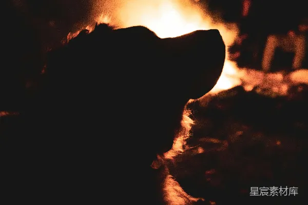 高清摄影 篝火旁的剪影
