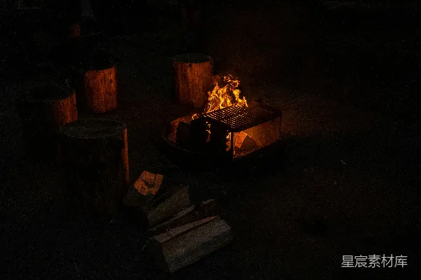高清摄影 篝火夜景