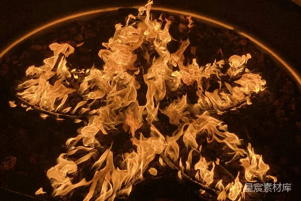高清摄影 篝火的温暖