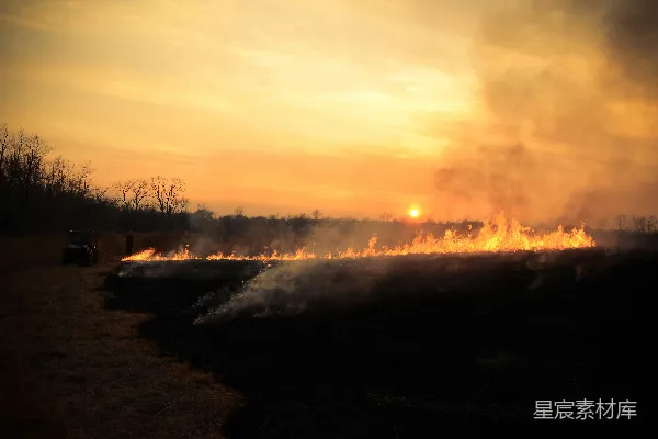 高清摄影 夕阳下的草原野火