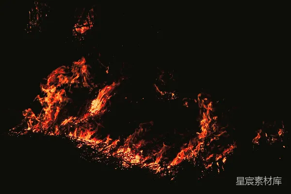 高清摄影 夜色中的野火