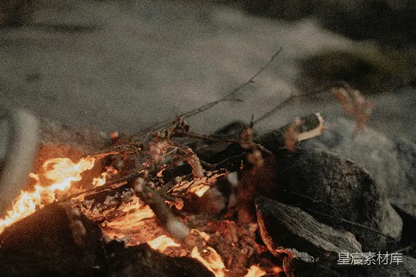 高清摄影 篝火夜景