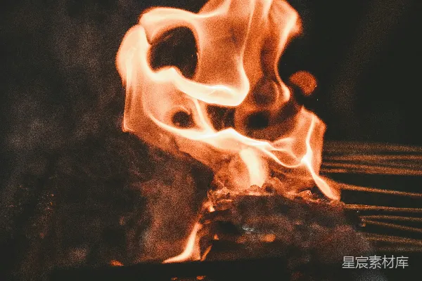 高清摄影 火焰中的肉串