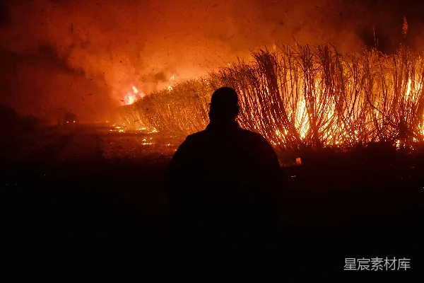 高清摄影 夜幕下的田野火灾