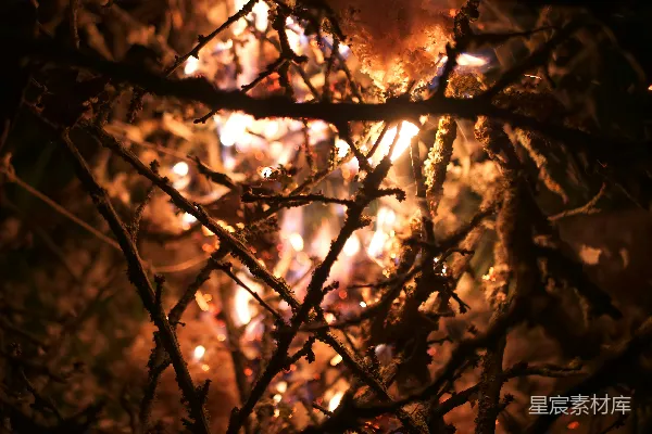 高清摄影 夜幕下的篝火