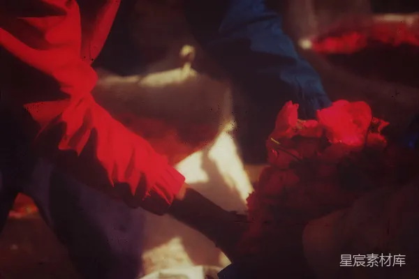 高清摄影 红玫瑰与手的温暖瞬间