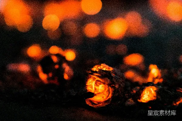高清摄影 夜幕下的篝火