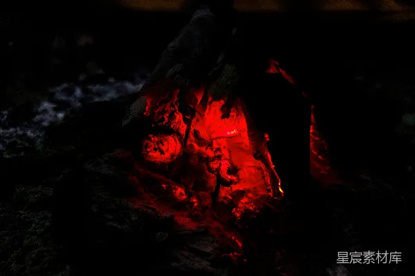 高清摄影 夜幕下的篝火