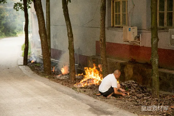 高清摄影 户外焚烧落叶