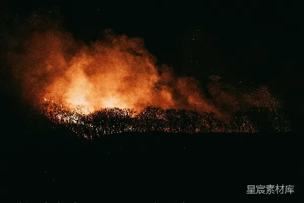 高清摄影 夜幕下的森林大火
