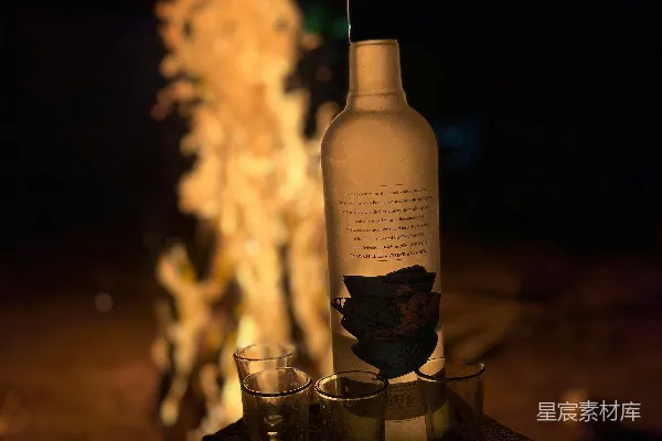 高清摄影 夜幕下的烈酒时光
