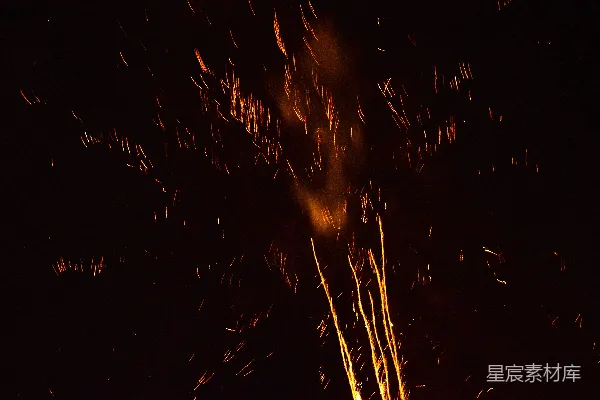 高清摄影 夜空中绽放的烟花