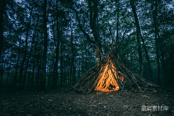 高清摄影 森林里的篝火帐篷