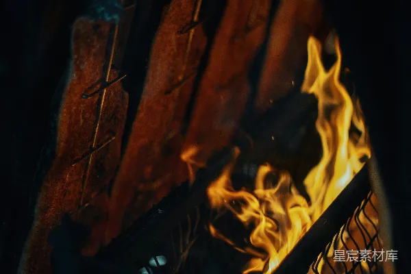 高清摄影 篝火上的烤肉