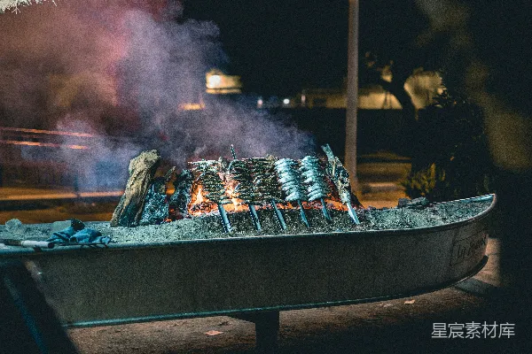 高清摄影 夜幕下的烤鱼篝火派对