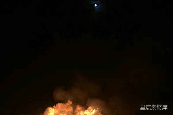 高清摄影 夜空下的篝火
