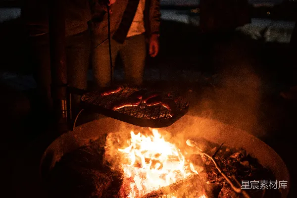 高清摄影 篝火烧烤夜