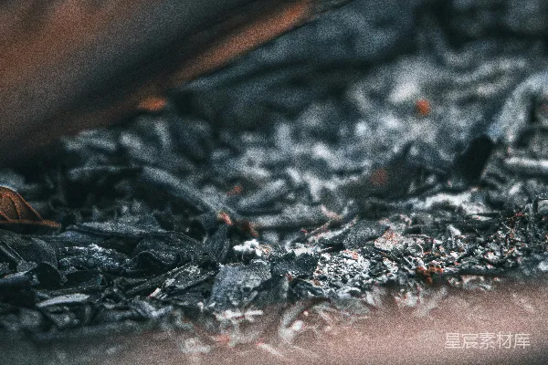 高清摄影 枯叶与灰烬的静谧