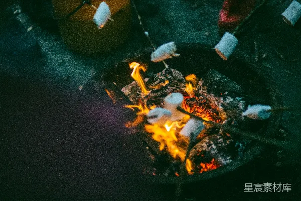 高清摄影 篝火上的棉花糖