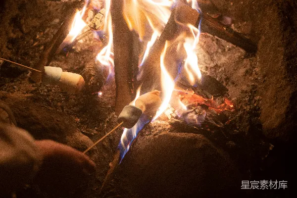 高清摄影 篝火旁烤棉花糖的温馨时刻