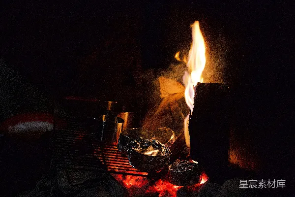 高清摄影 篝火旁的夜景