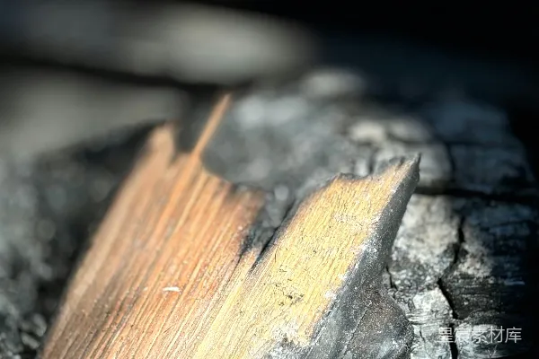 高清摄影 烧焦的木头