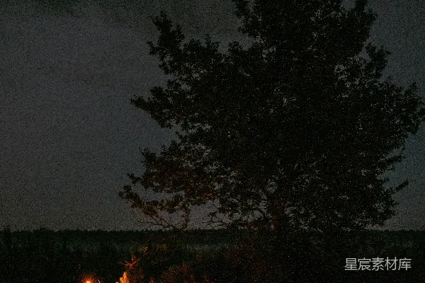 高清摄影 夜幕下的篝火与孤树