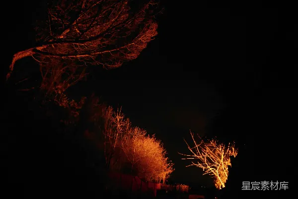 高清摄影 夜色中的灯火与树影