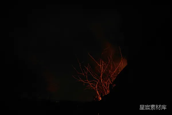 高清摄影 夜幕下的孤树