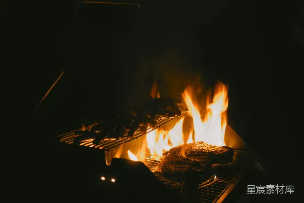 高清摄影 烧烤夜的火焰