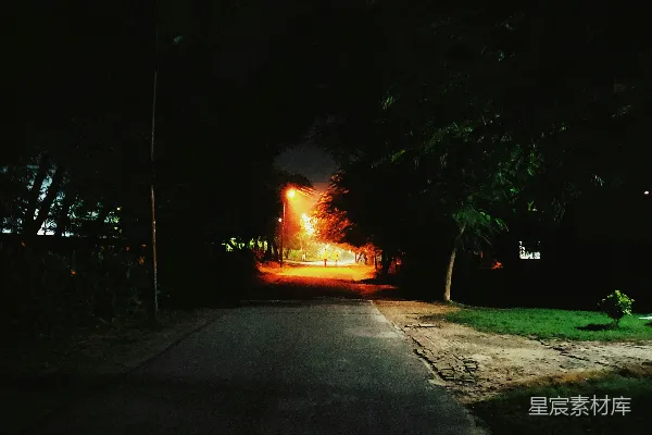 高清摄影 夜晚的路灯照亮道路
