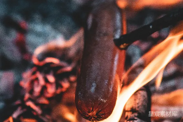高清摄影 烤香肠的篝火
