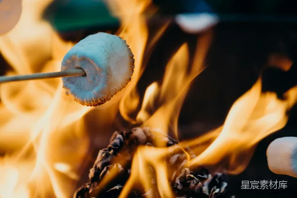 高清摄影 篝火上的棉花糖