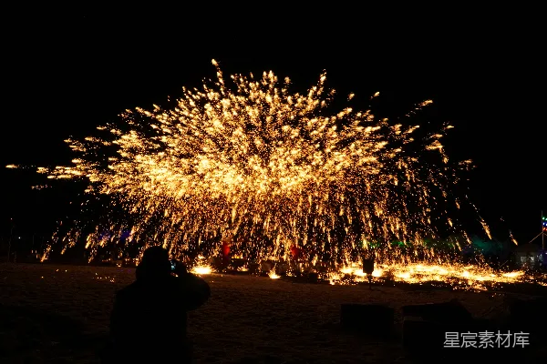 高清摄影 夜空中绽放的火花树