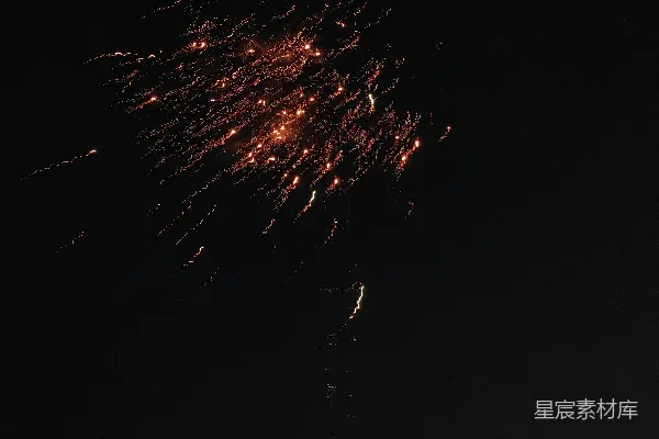 高清摄影 夜空中的烟花绽放