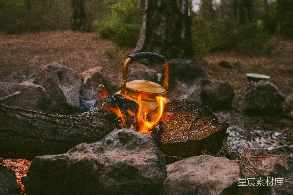 高清摄影 森林中的篝火与茶壶