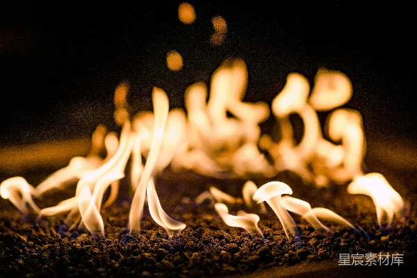 高清摄影 篝火夜景