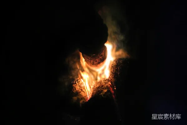 高清摄影 夜晚的篝火