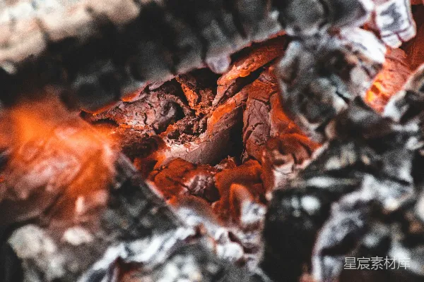 高清摄影 熊熊燃烧的木炭特写