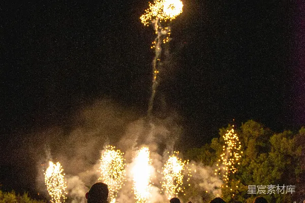 高清摄影 烟花夜景下的观众