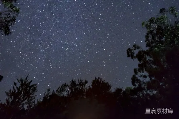 高清摄影 篝火下的星空
