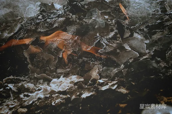 高清摄影 燃烧的废纸堆