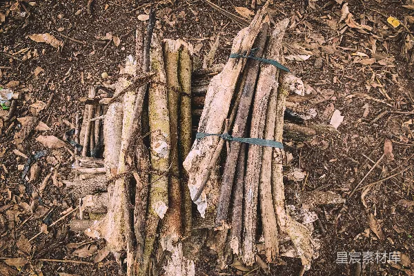高清摄影 捆扎的木棍堆