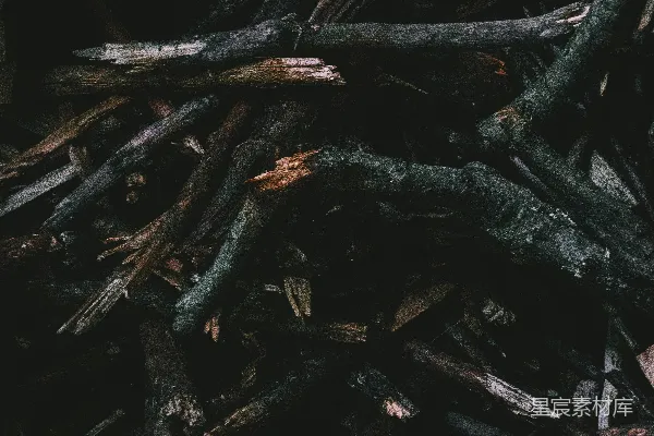 高清摄影 枯木堆