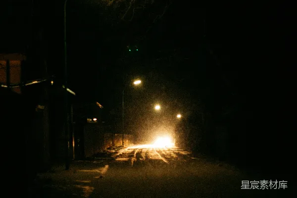 高清摄影 夜色中的路灯与飘雪