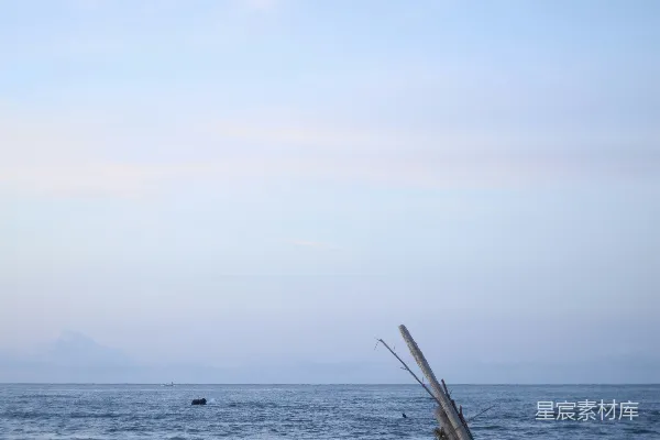 高清摄影 黄昏海边的木桩